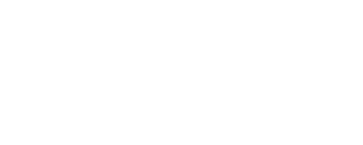 LeMans